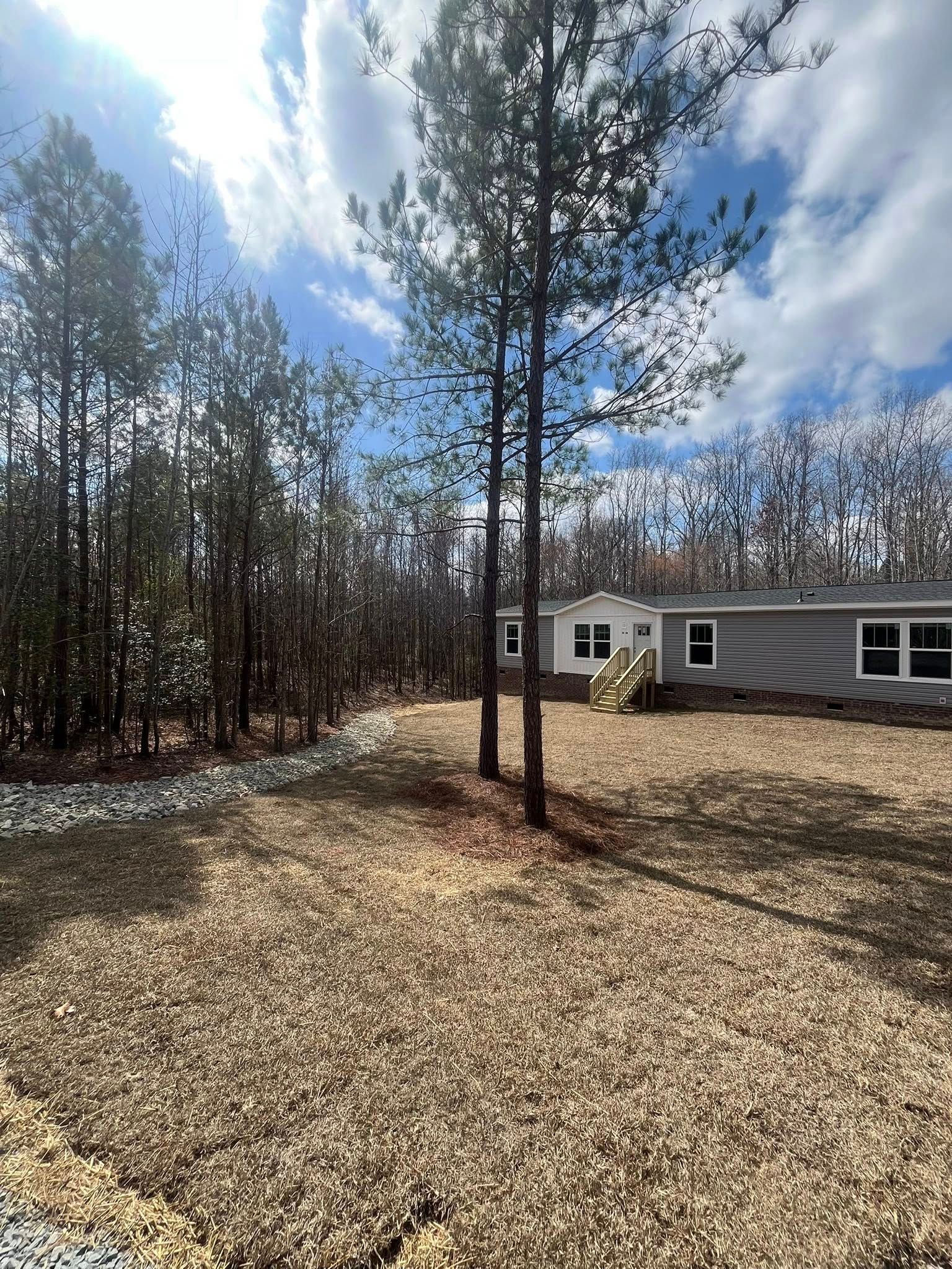 Wooded yard with tall pine trees beside a white mobile home under a cloudy blue sky