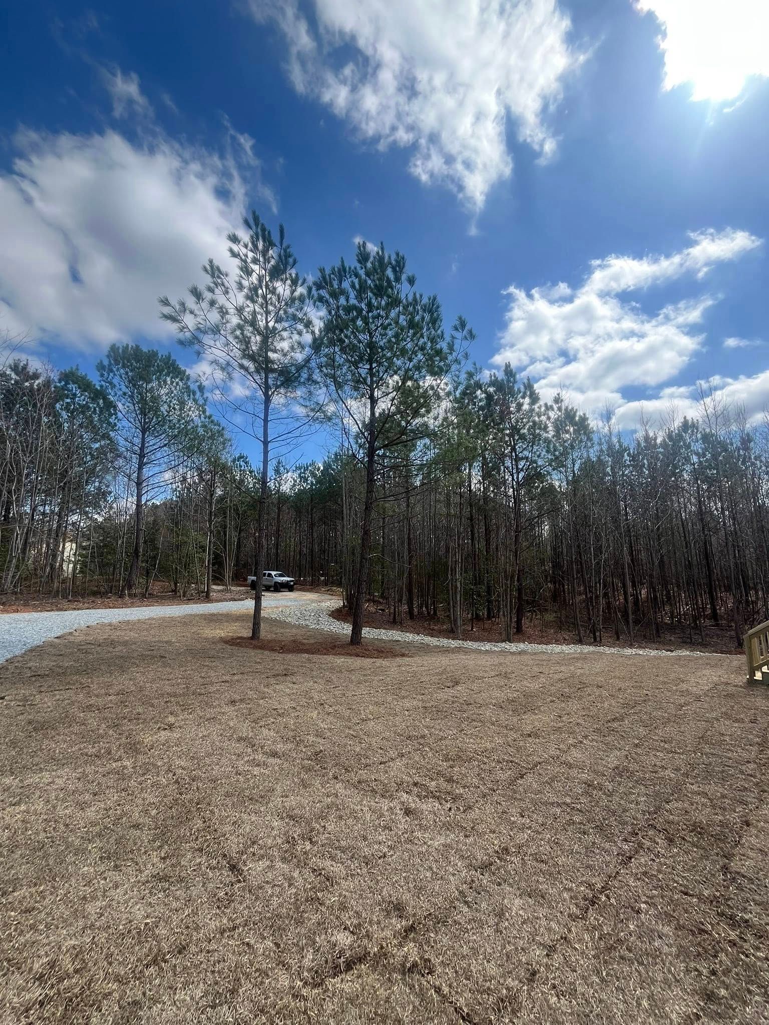 Wooded clearing with sandy ground, a curving path, and a bright blue sky with scattered clouds