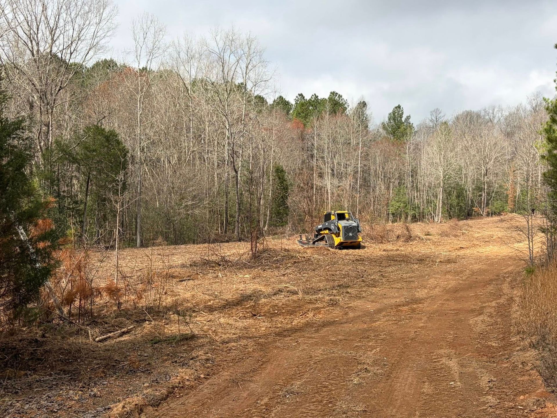 Yellow excavator on a dirt clearing beside leafless woods under a cloudy sky