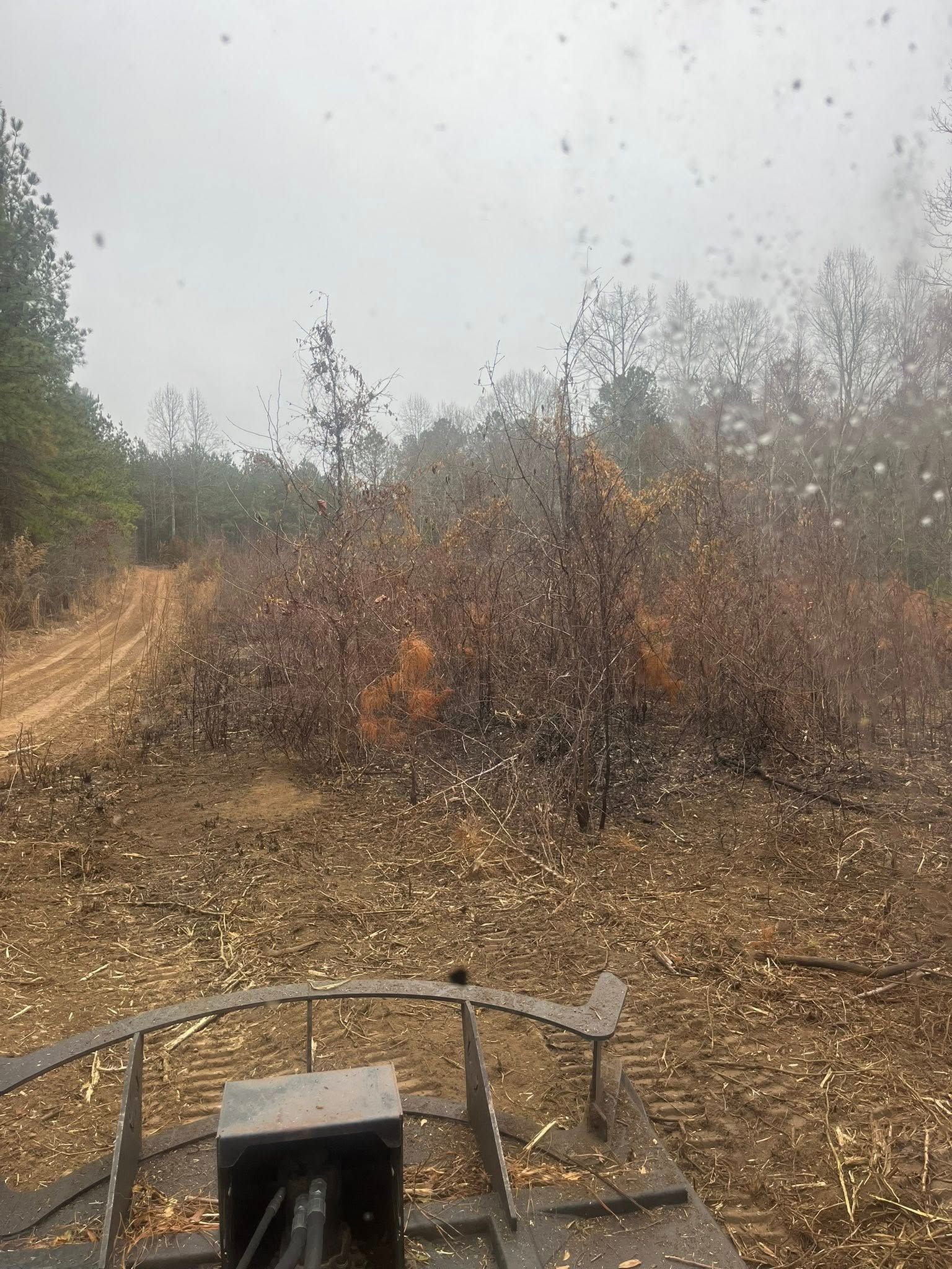 Rain-soaked dirt path with sparse trees and a metal cart handle in the foreground