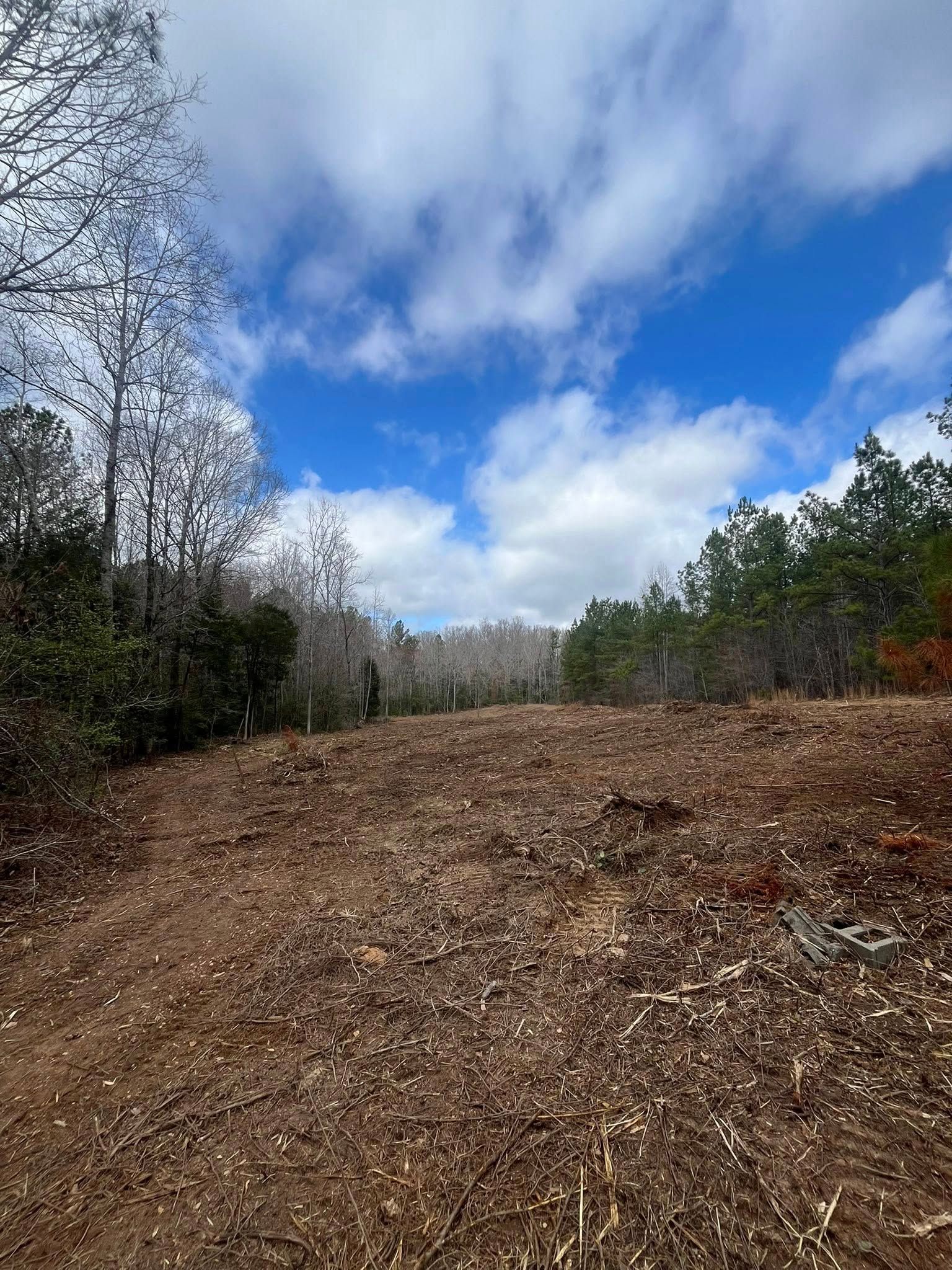 Muddy dirt trail through leafless woods under a bright blue, cloudy sky