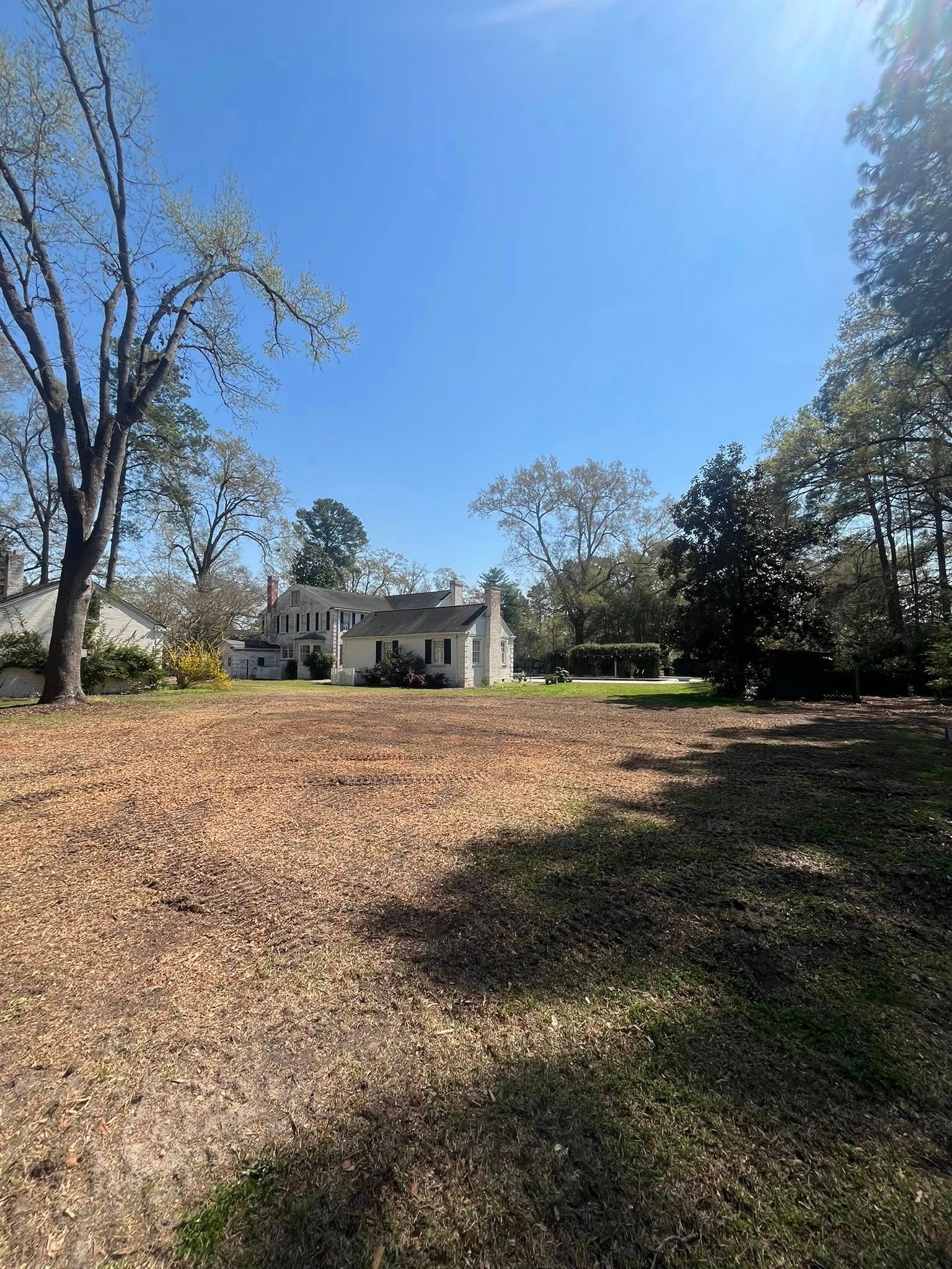 White house beyond a leaf-covered yard under a bright blue sky, framed by tall trees.