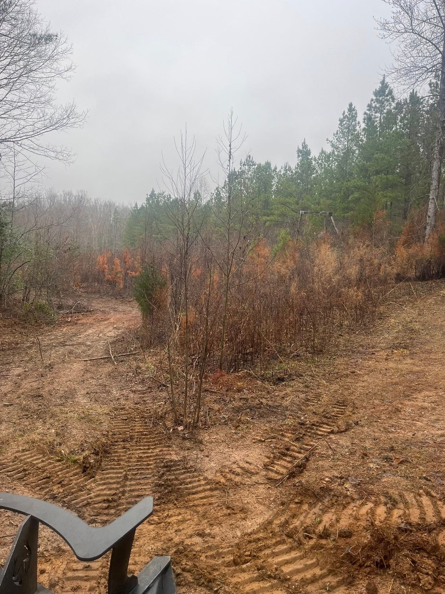 Foggy dirt trail with brown shrubs and pine trees, with a chair arm in the foreground