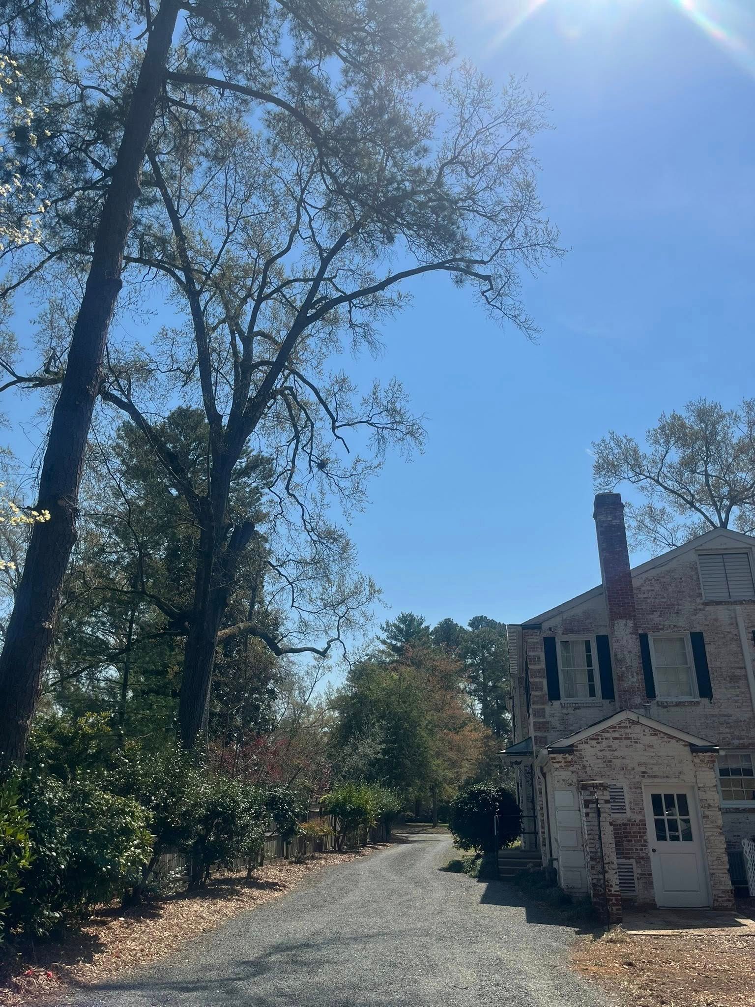 Sunlit gravel path beside a stone house and tall trees under a clear blue sky