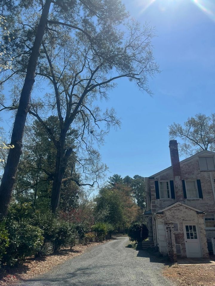 Sunlit gravel driveway beside a stone house and tall trees under a clear blue sky