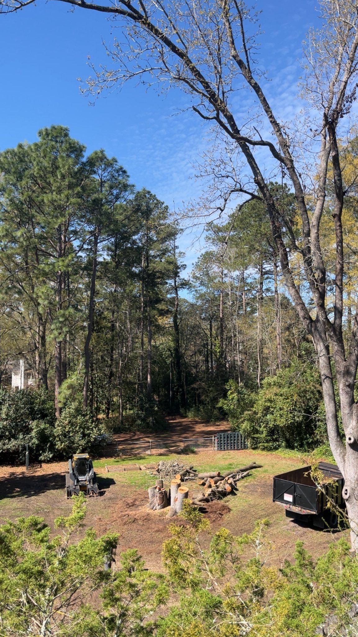Wooded backyard with a dirt clearing, scattered logs, and a person near the left side under a blue sky