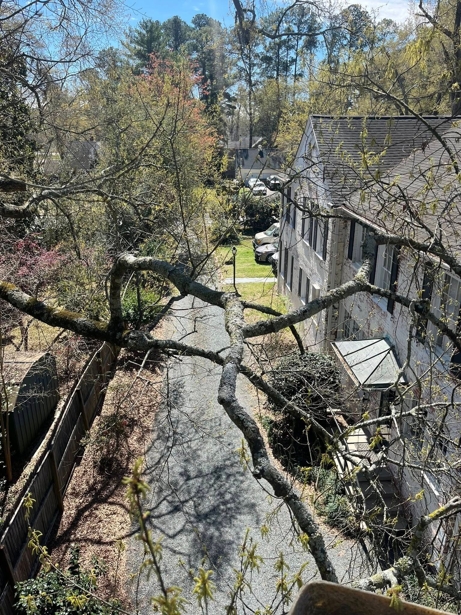 Tree-lined residential street with stone houses and autumn foliage viewed from above