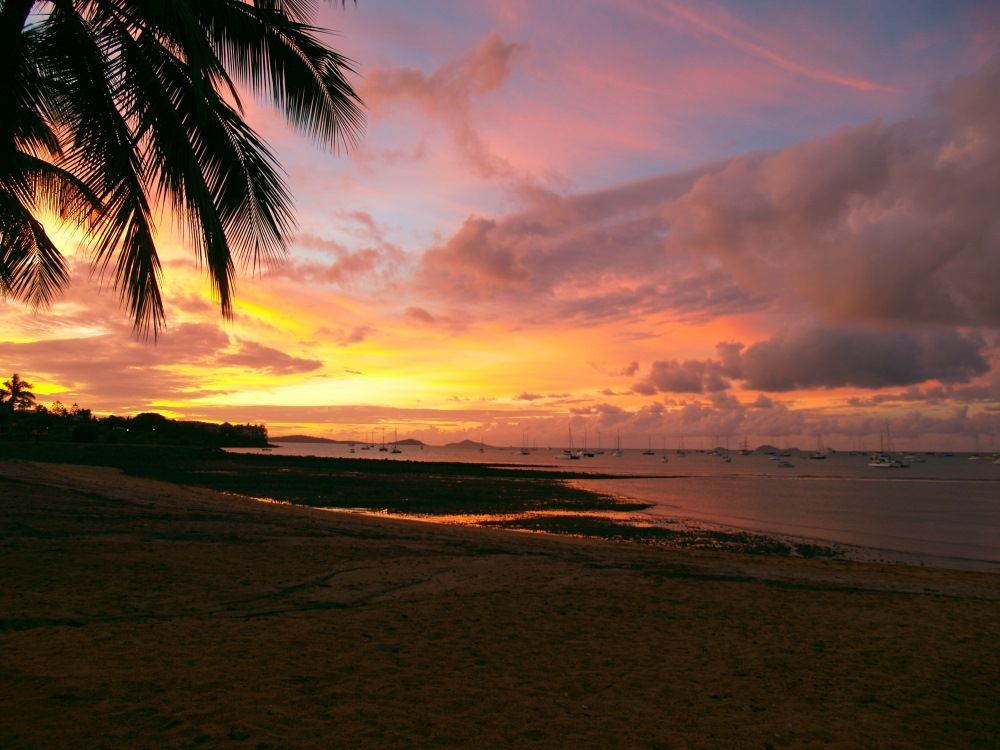 A Beach At Sunset With A Palm Tree In The Foreground — Kaplan Engineering Pty Ltd In Airlie Beach, QLD