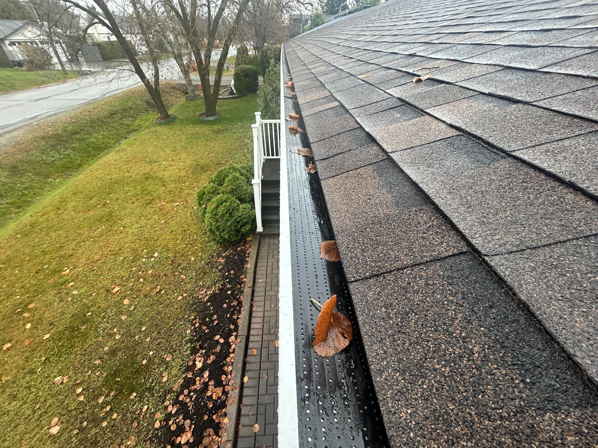 Close-up of a roof with shingles and a gutter covered in a black screen, some leaves are visible.