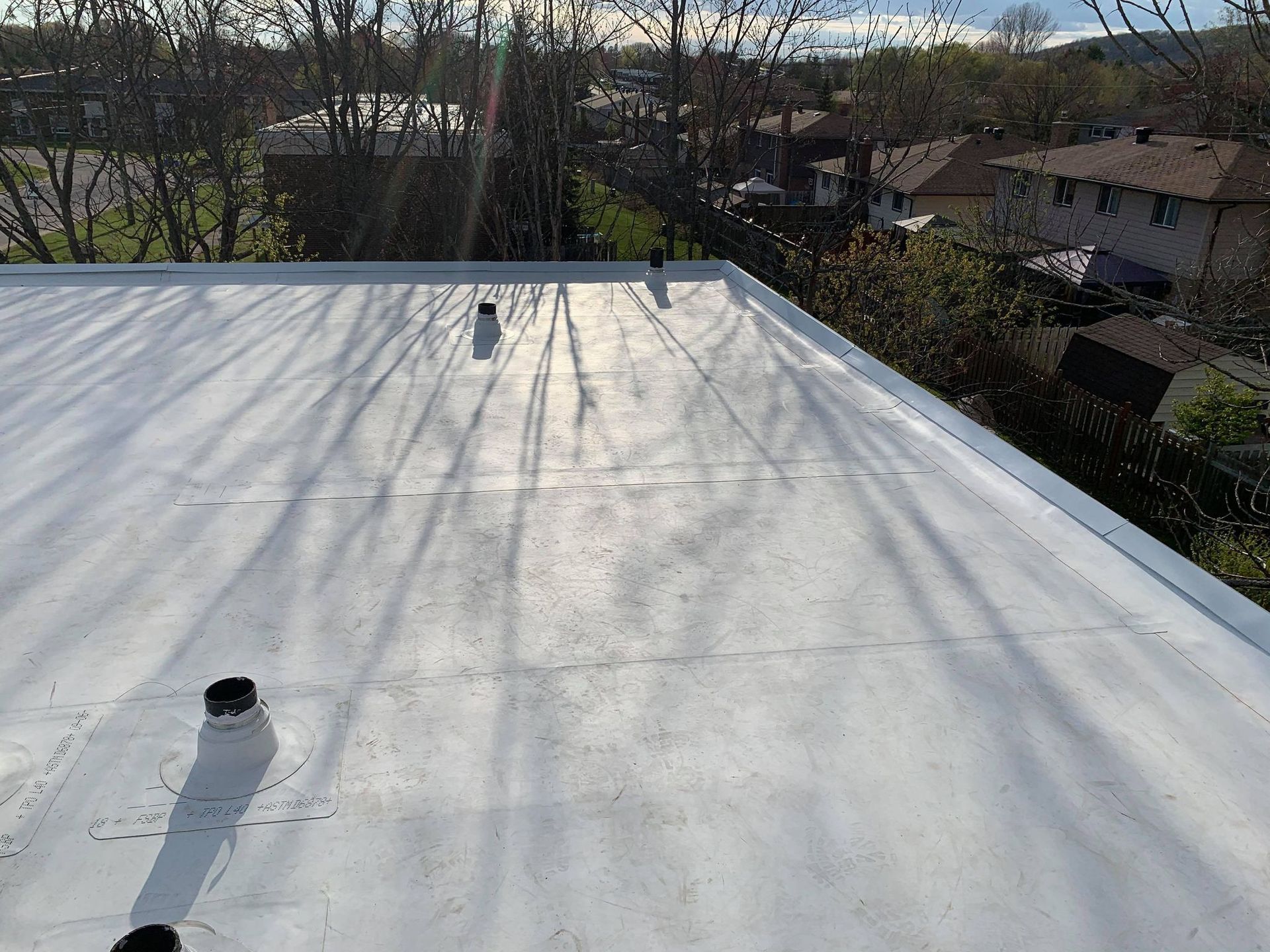 A freshly coated white flat roof with vent pipes, viewed from above, with tree shadows cast across the surface.