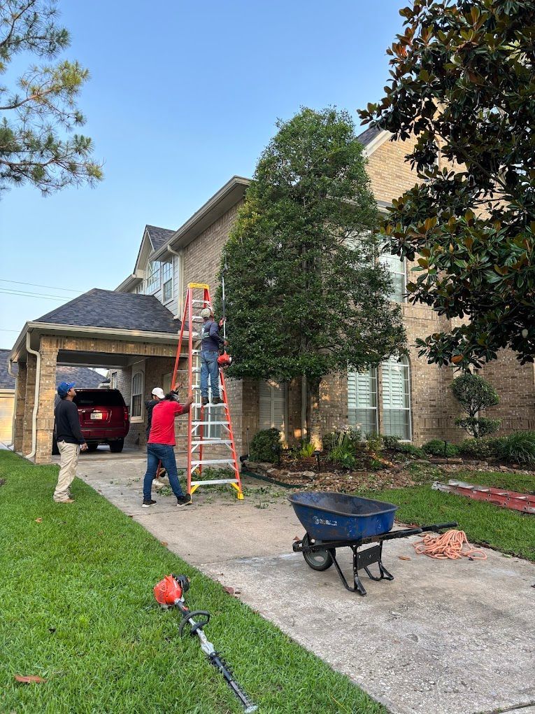 Tree Service And Landscaping Company In Houston, Tx