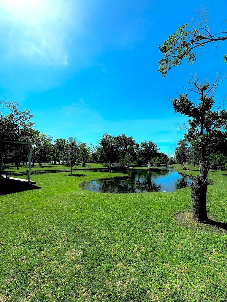 Top Rated Tree Service Company in Houston, TX