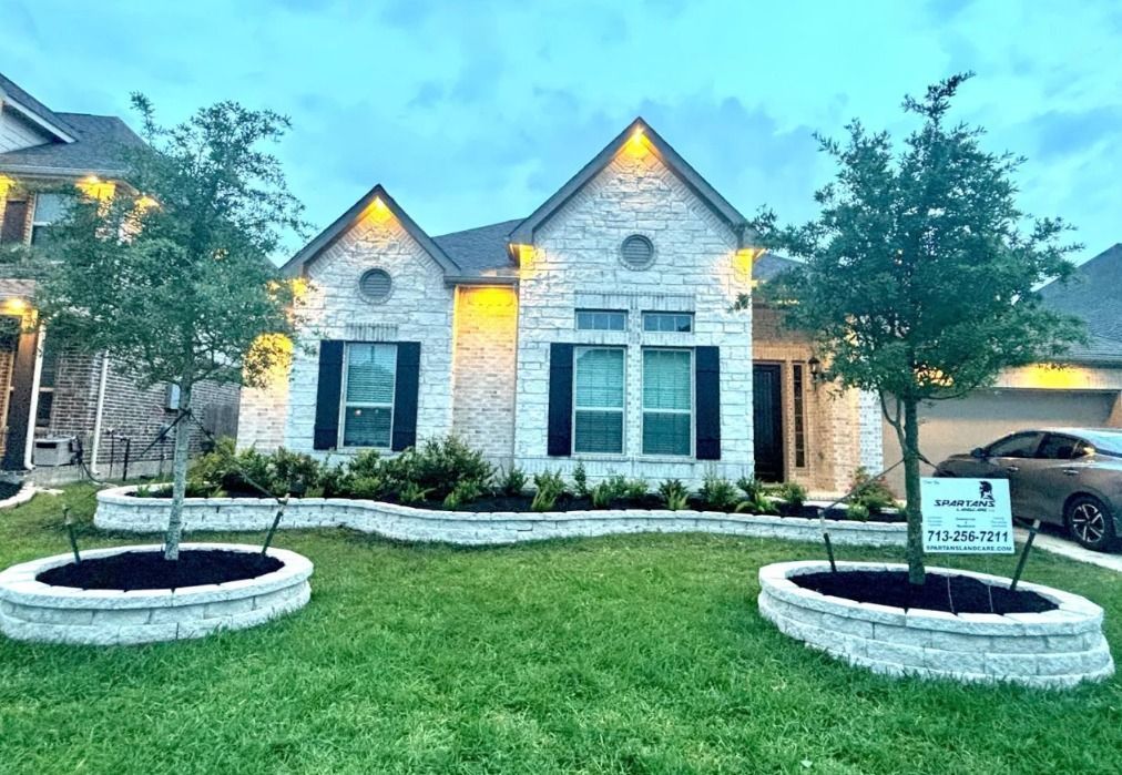 Licensed & Insured Tree Service Specialists Near Houston