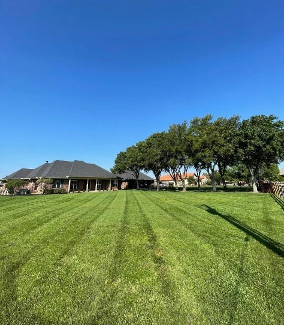 Top Tree Service And Landscaping Company In Houston, Tx
