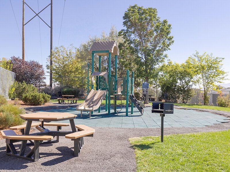 Playground with slides and picnic tables in a grassy area with trees and power lines in the background.