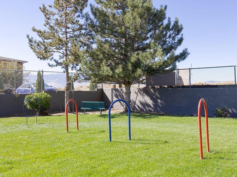 Grassy community courtyard with colorful metal arches and a bench under trees at Reno Vista Apartments.