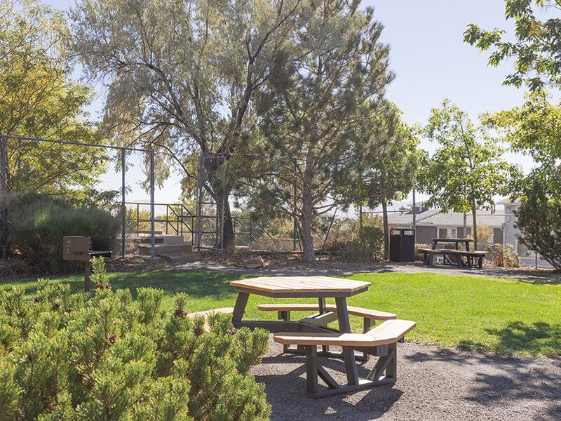 Outdoor community park with a wooden picnic table, grill, and trees at Reno Vista Apartments.