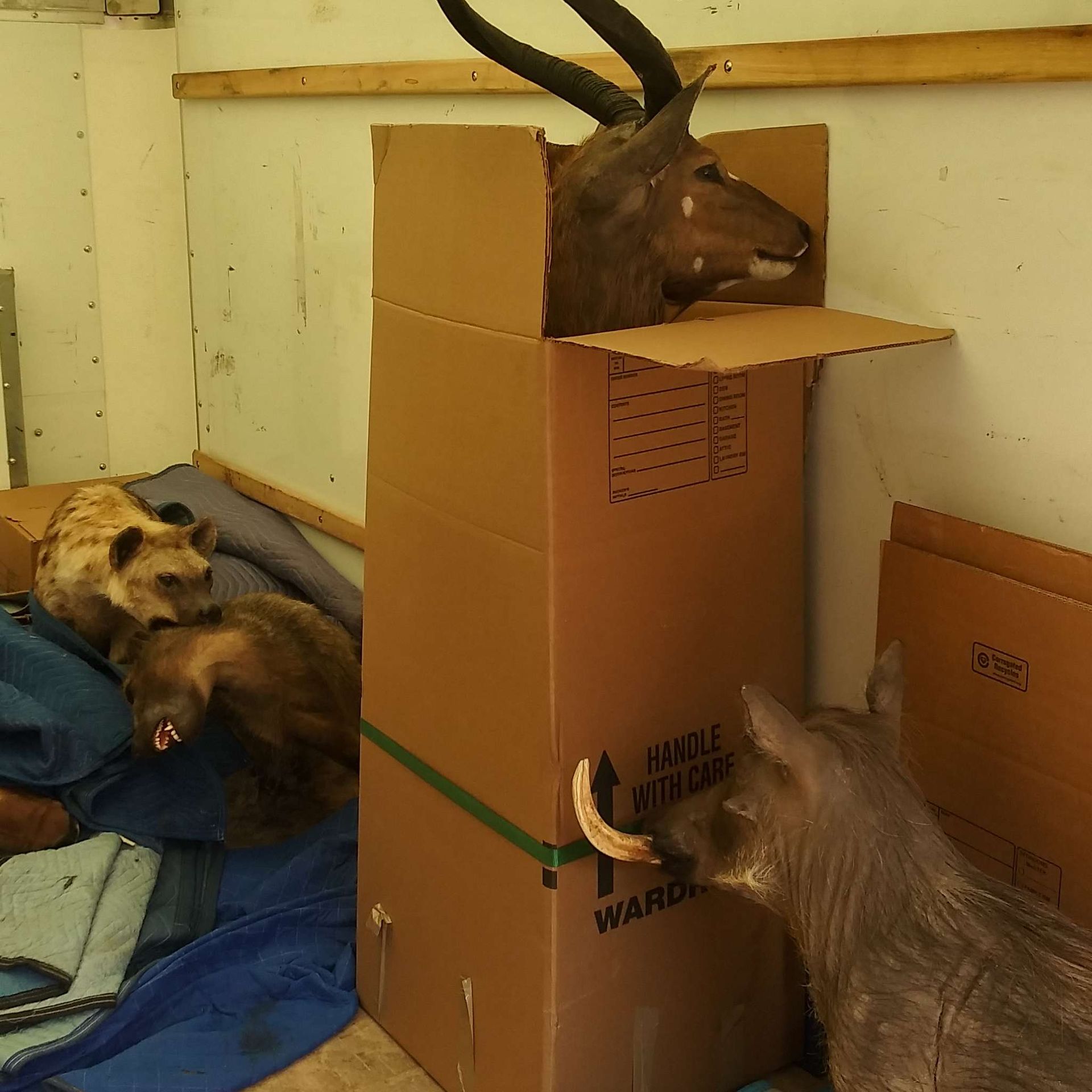 A cardboard box that says ' fragile with care ' on it