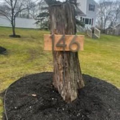 Tree trunk with wooden house number 146 in a yard with black mulch and a house in the background
