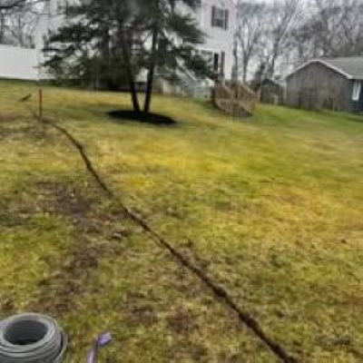 Backyard with a tree, yellow-green grass, and a coiled hose in the foreground on a cloudy day