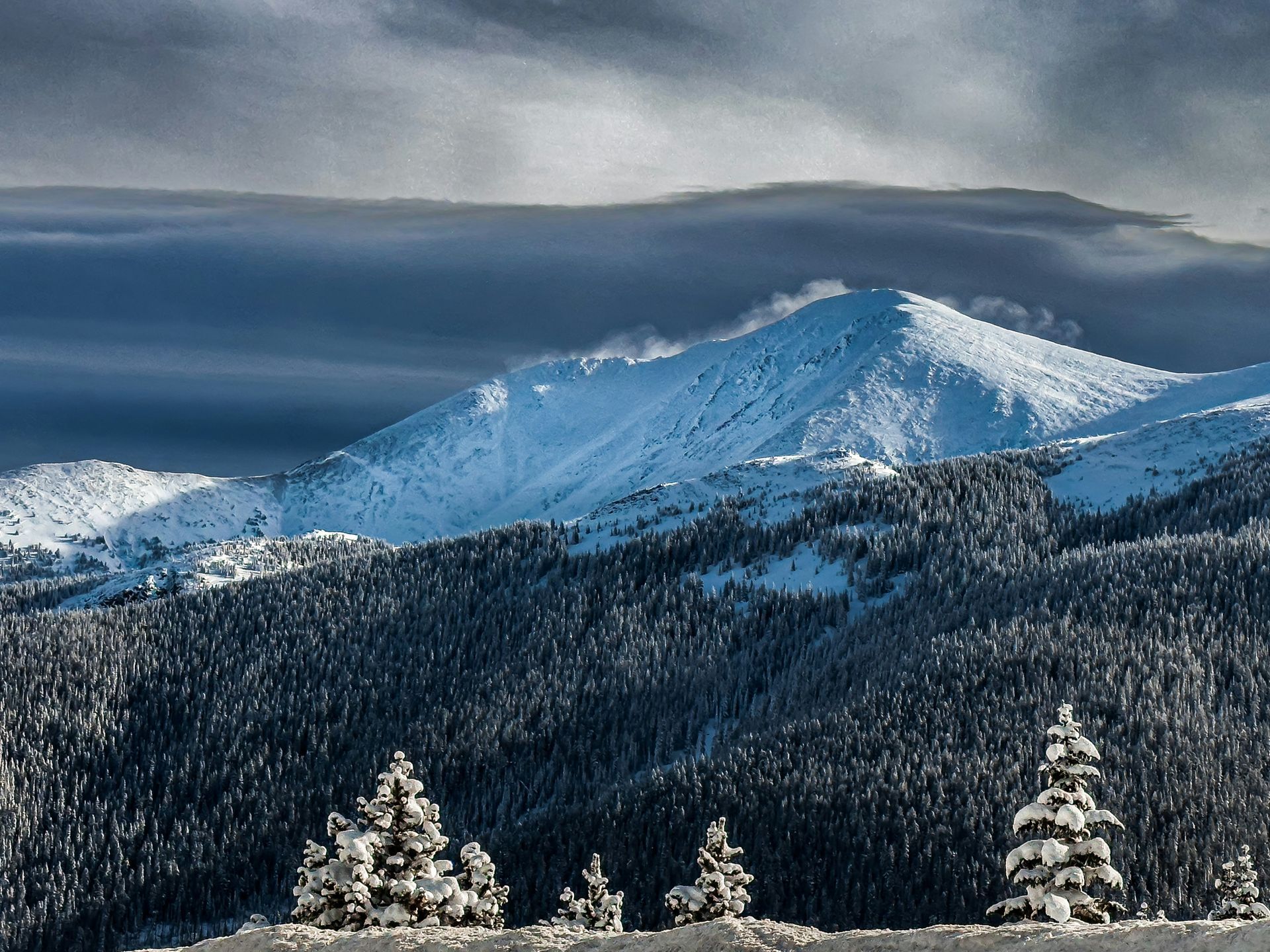 over into winter park