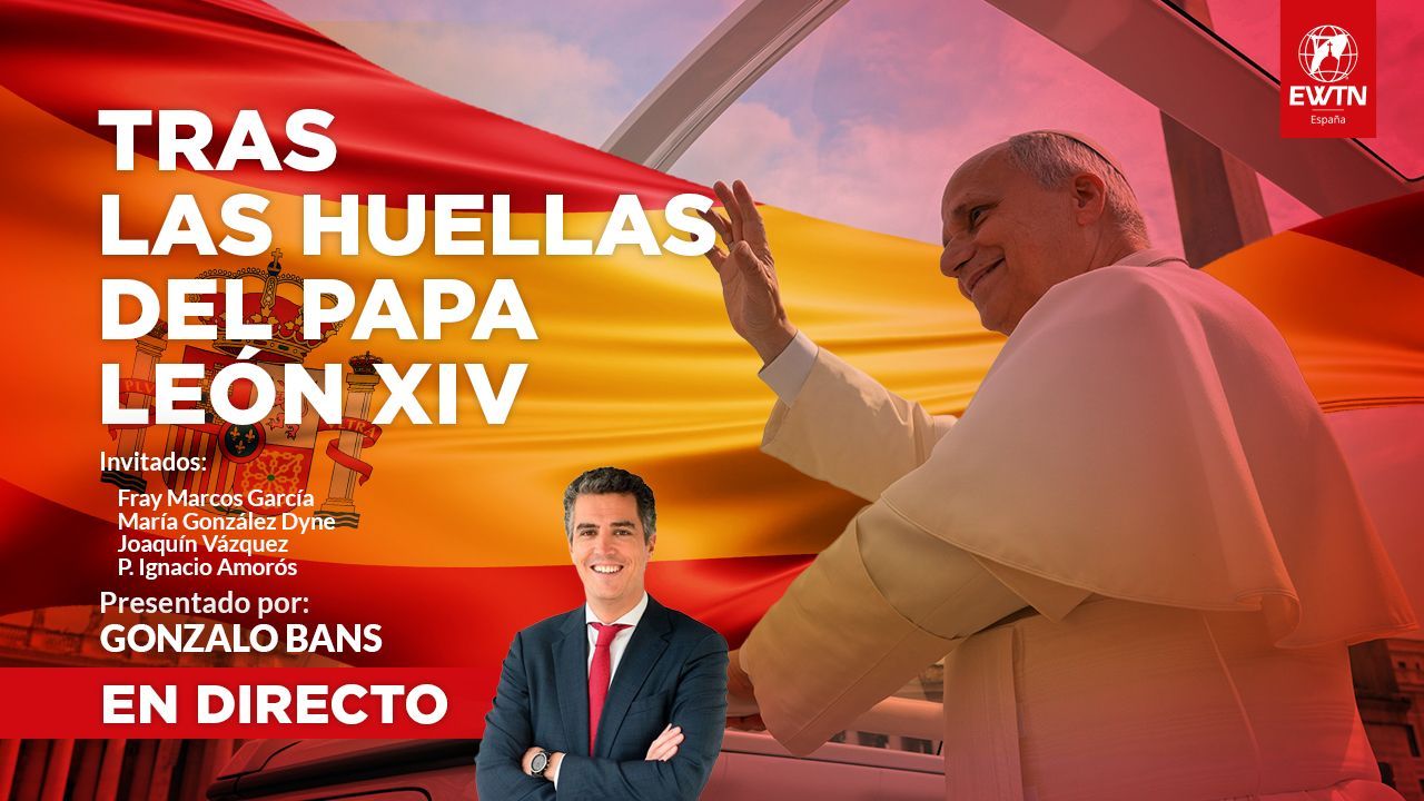 El Papa León XIV