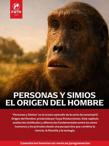 Destacados de la semana