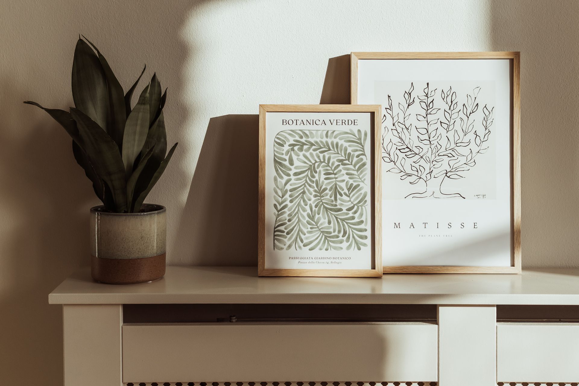 PLant en ingelijste botanische print, aankleding van daglichtstudio in Amersfoort