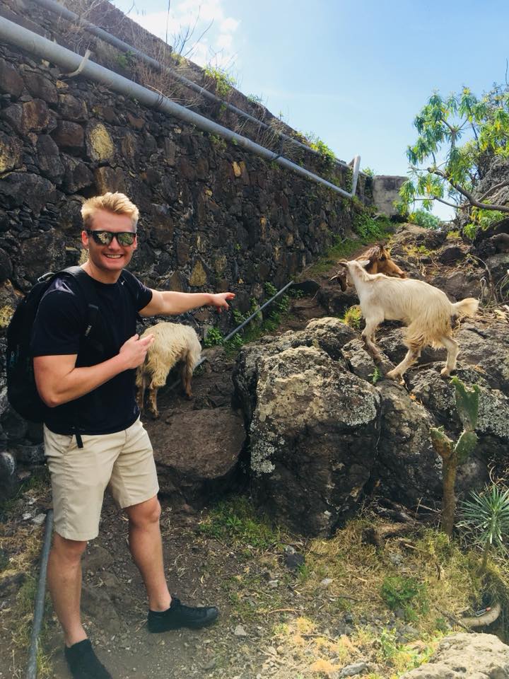 Xander Clemens is in the Canary Islands with animals