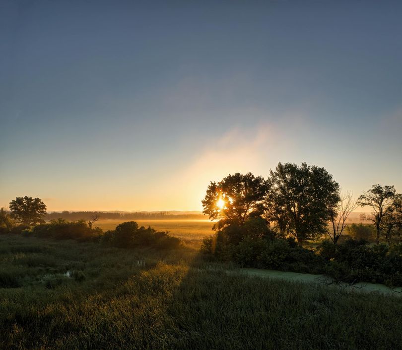 The sun is setting over a field with trees in the foreground
