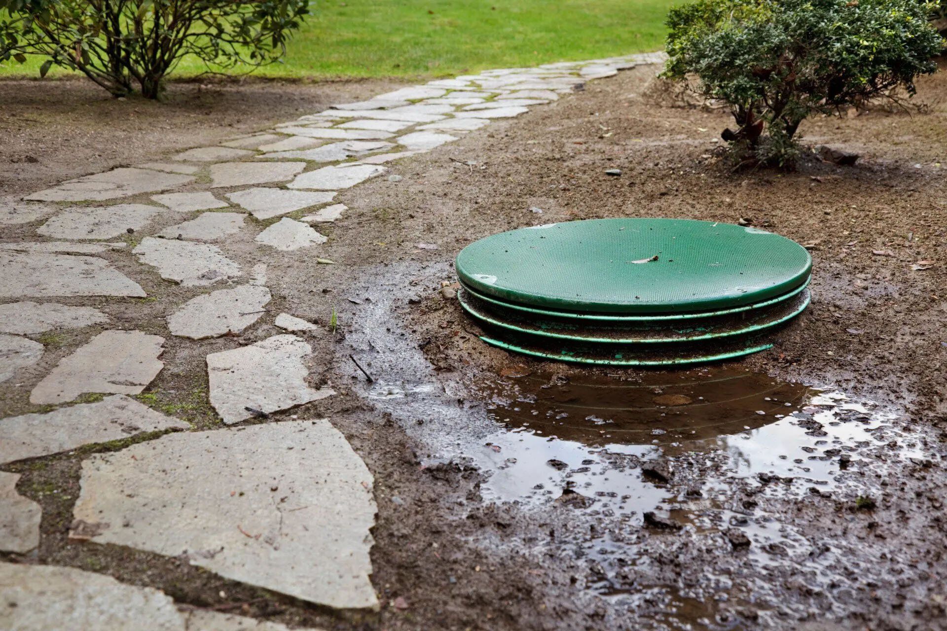 Septic Problems