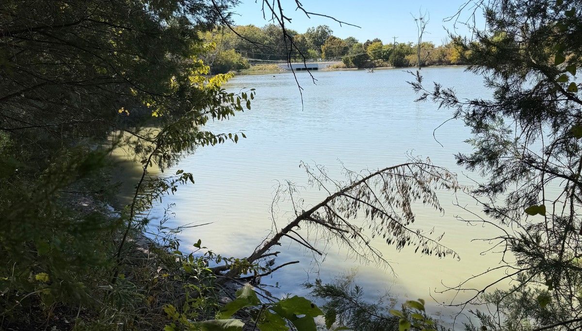Sunlit lake framed by trees and brush, with calm water and distant shore