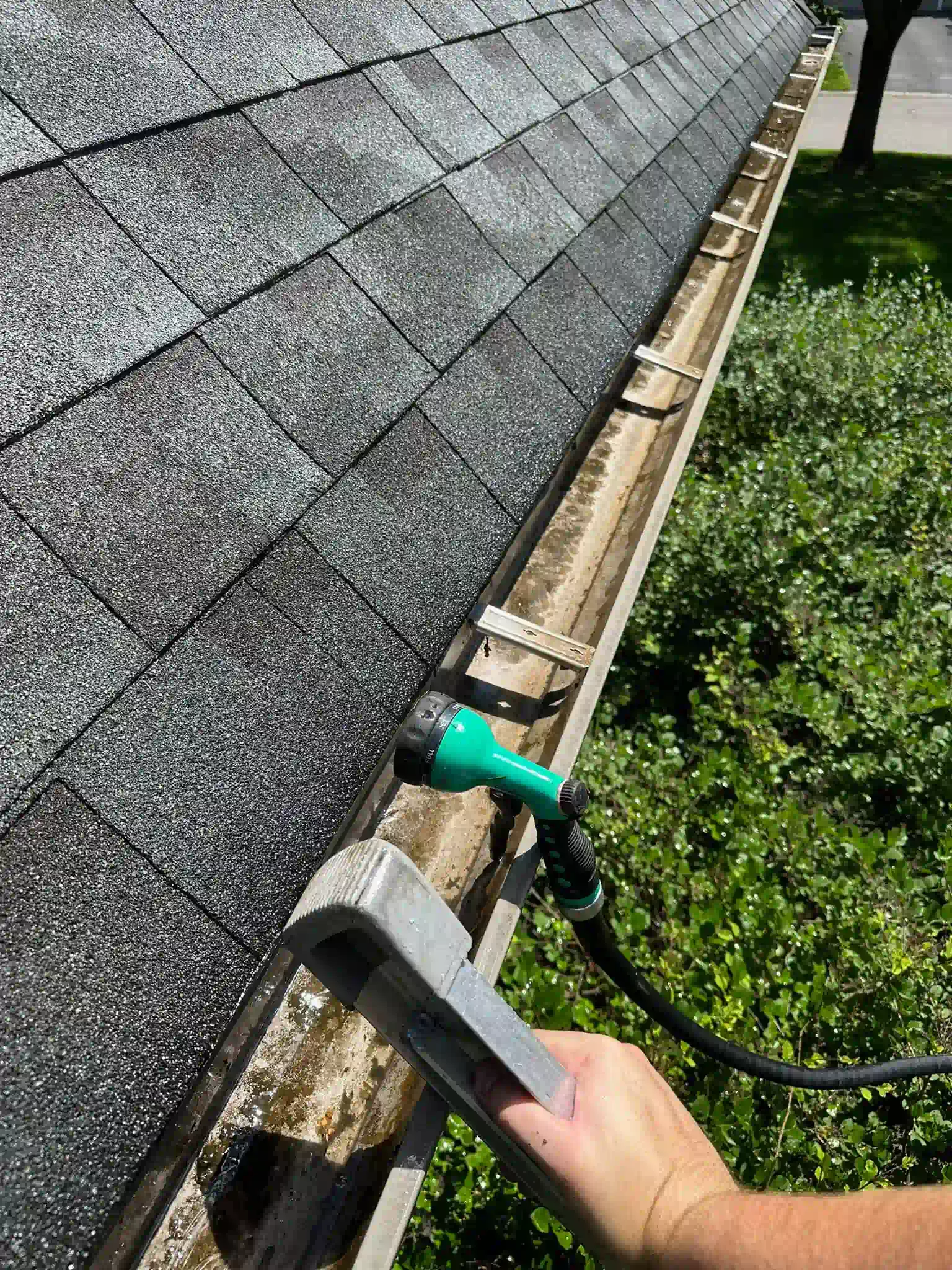 Man cleans a dirty rain gutter with a hose, near a dark roof and green bushes.