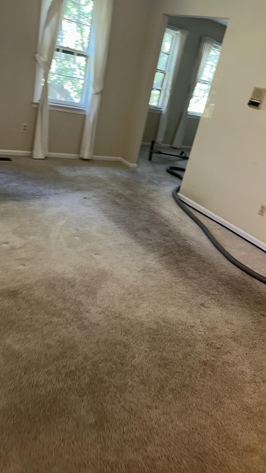 Beige carpet in a room being cleaned with a hose. Windows and a doorway are visible.