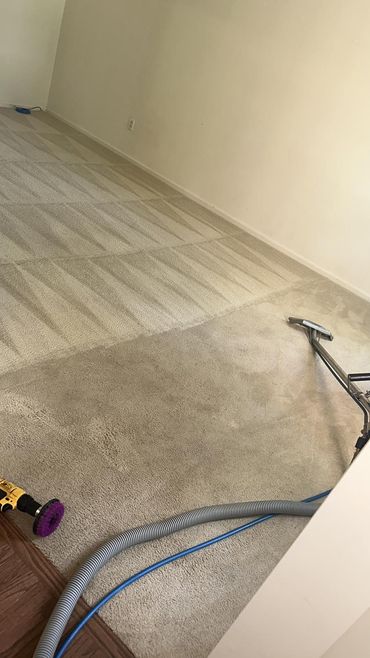 Carpet cleaning in progress; a beige carpet with clean and dirty areas; cleaning tool in use.