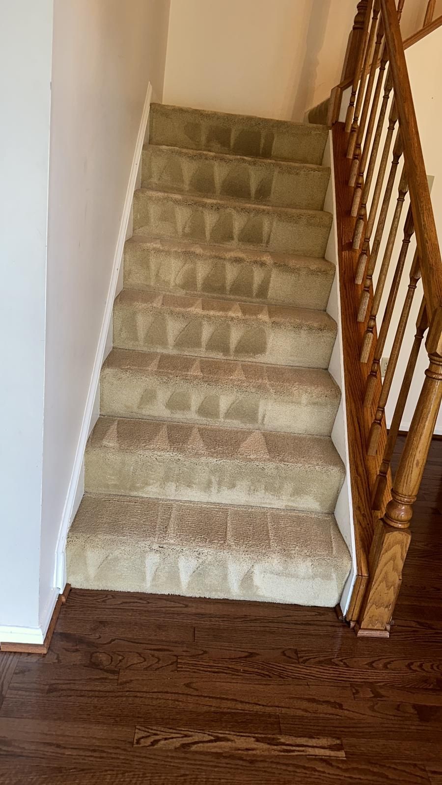 Staircase with carpeted steps and wooden railing. Dark wood floor and white wall.