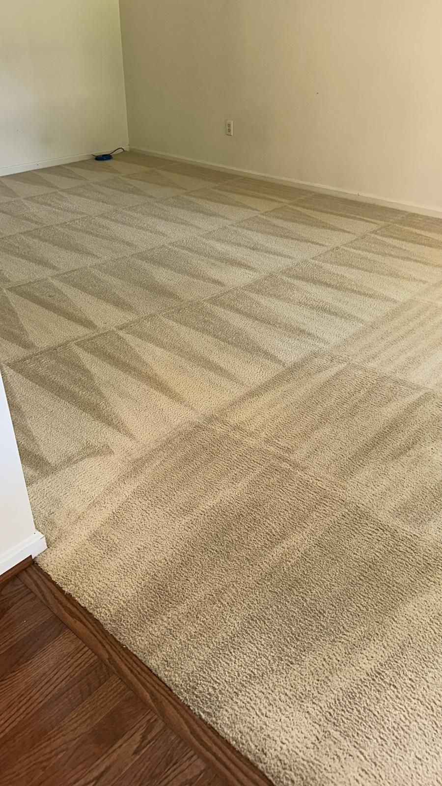 Beige patterned carpet in a room with light-colored walls, next to a wood floor.