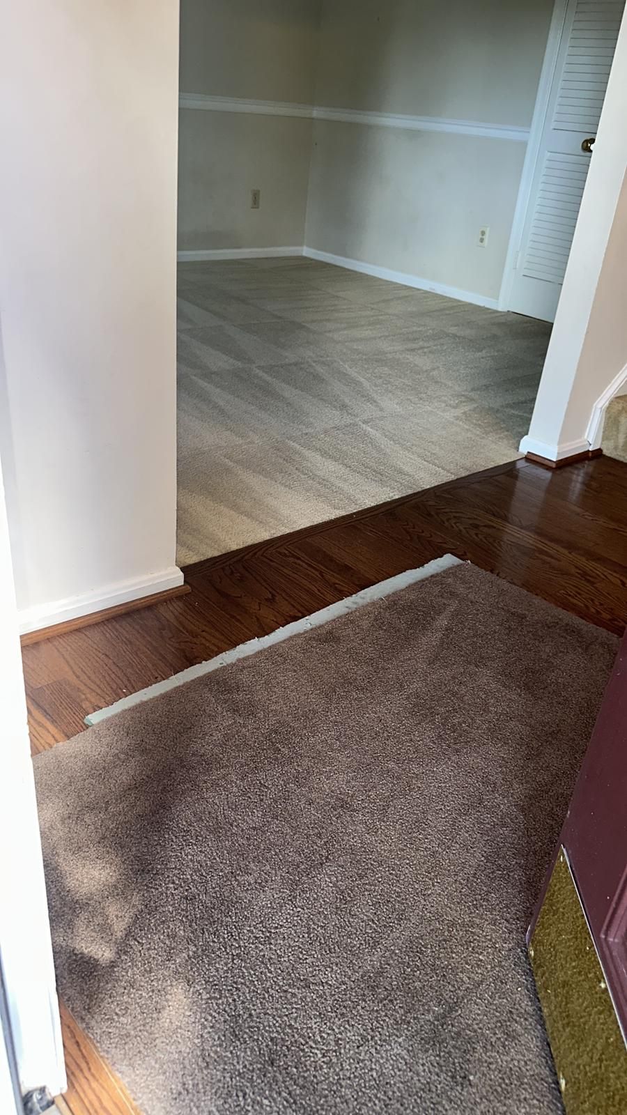 Entryway view; brown rug on hardwood, leading to carpeted living area with beige walls.