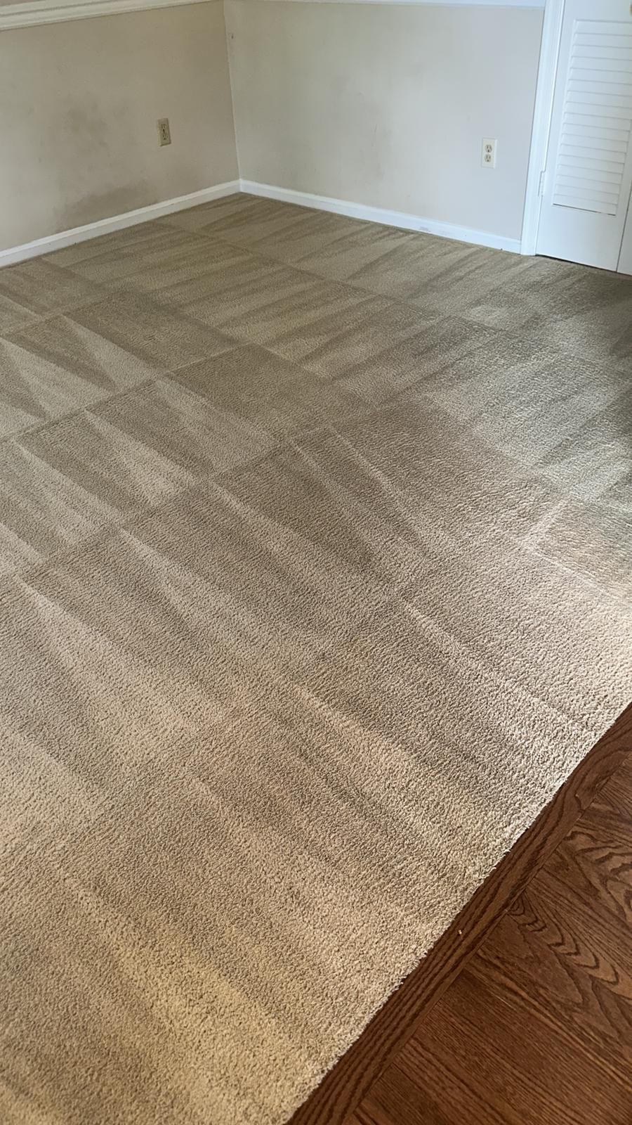 Beige carpeted room, corner view; adjacent to wood flooring. Walls are cream.