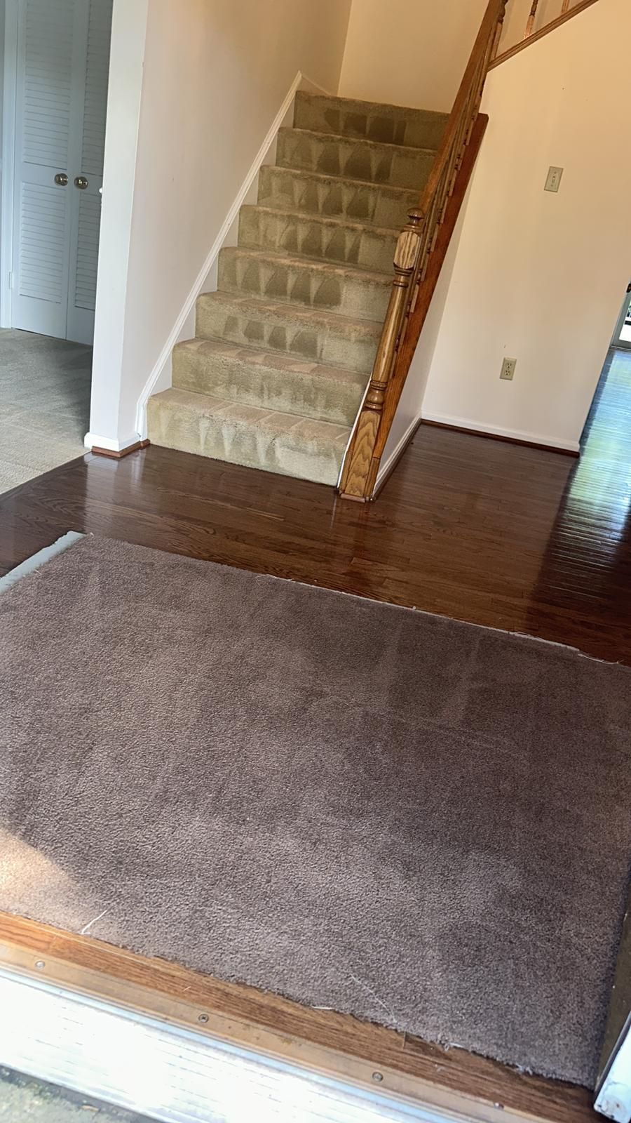 View of a home entryway with carpeted stairs, dark wood flooring, and a rug.