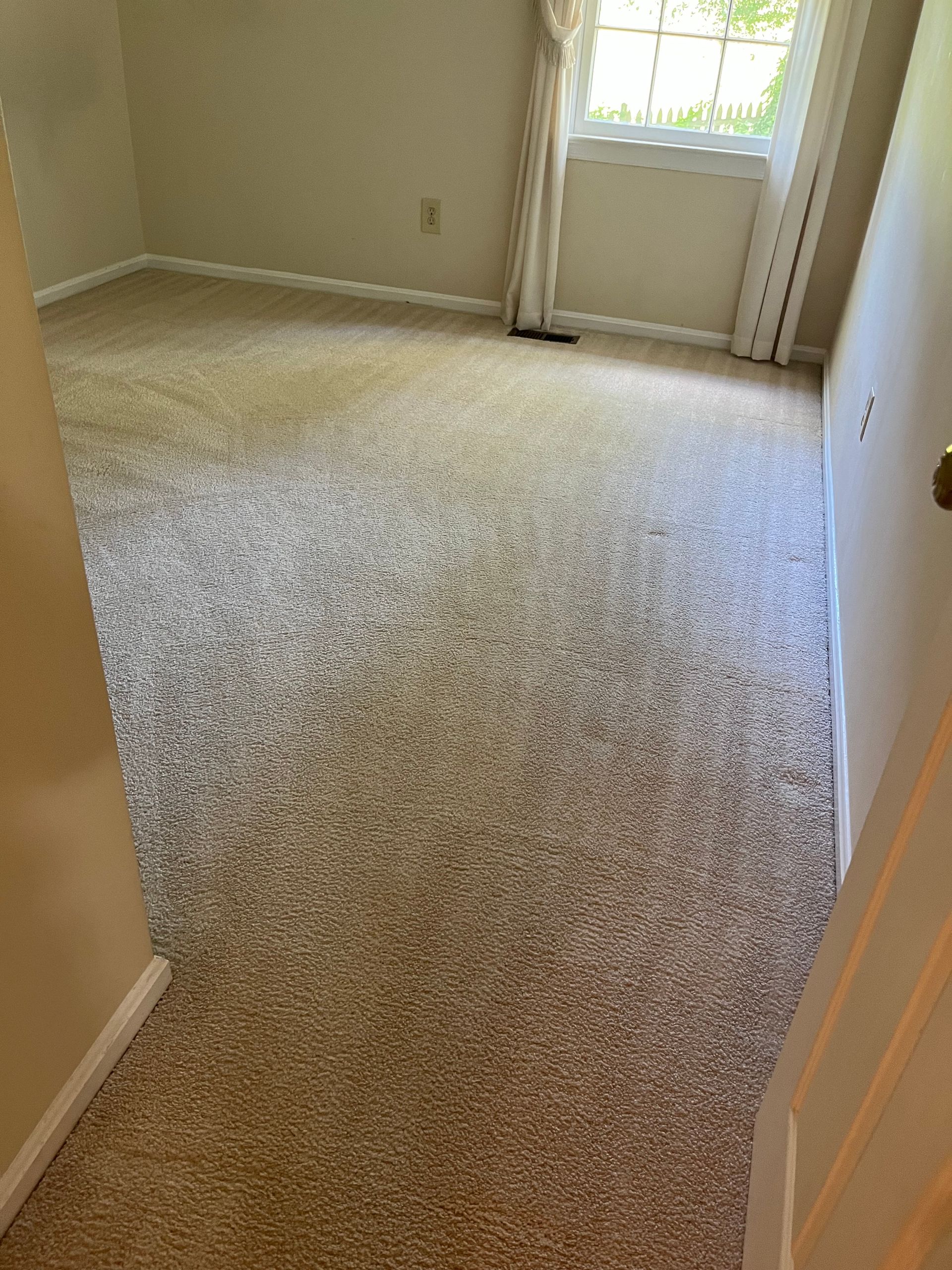Beige carpeted bedroom with a window, white trim, and a partially open door.