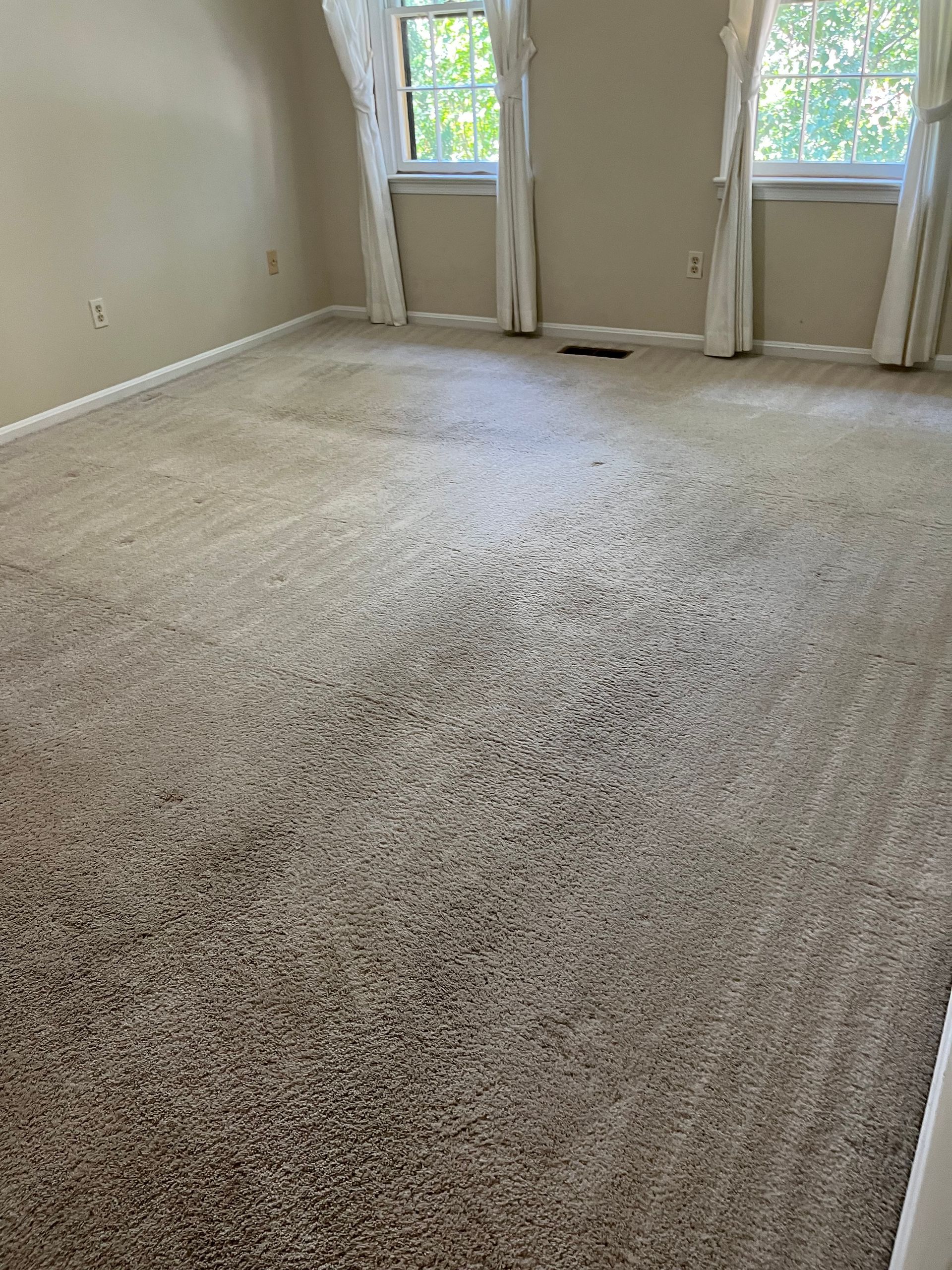 Beige carpeted room, two windows with white curtains, stained floor area.