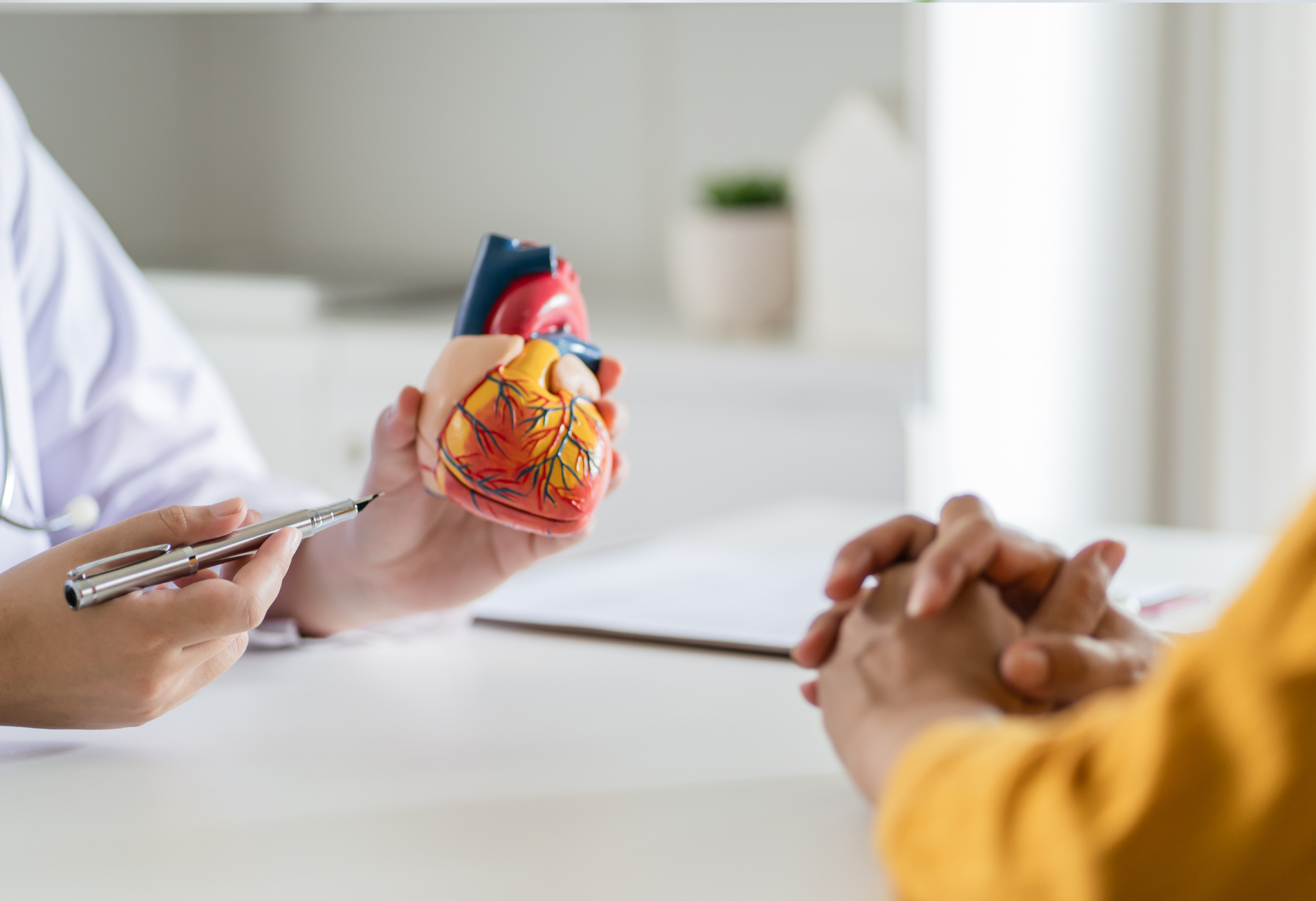 a doctor is holding a model of a heart while talking to a patient .