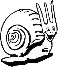 Chiocciola