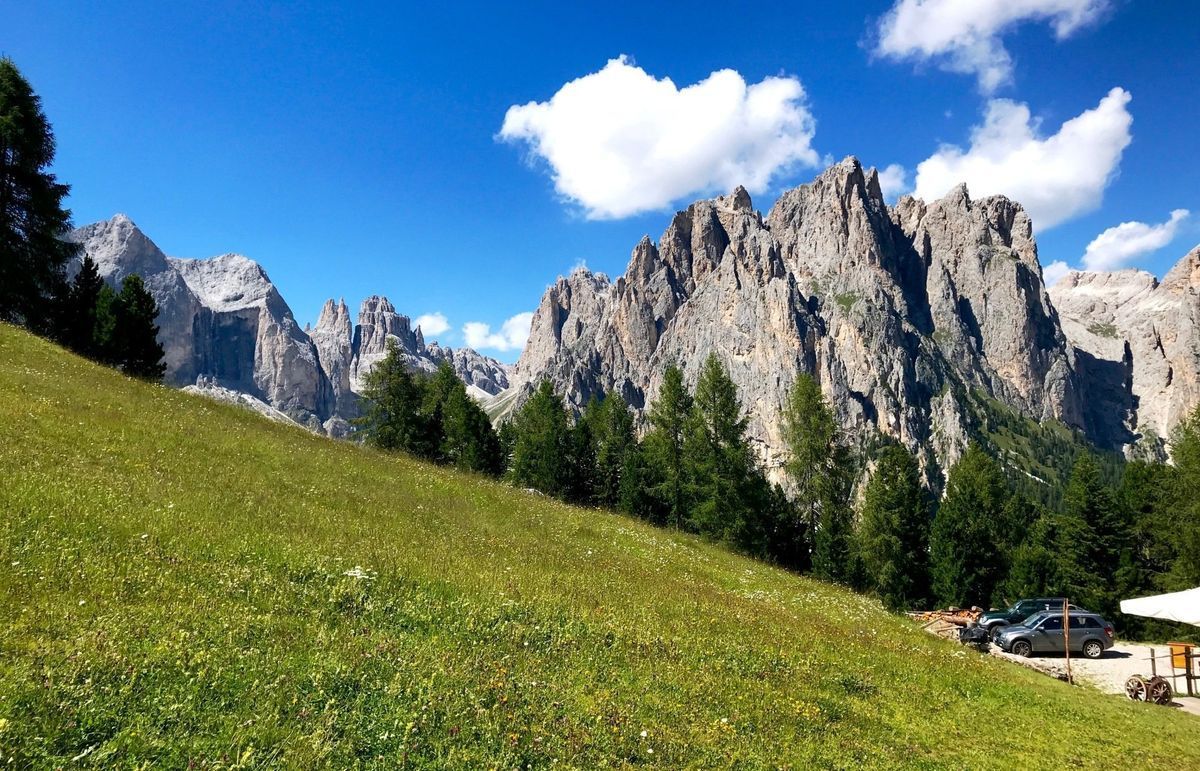 Grassy alpine slope with evergreen trees and jagged mountain peaks under a bright blue sky