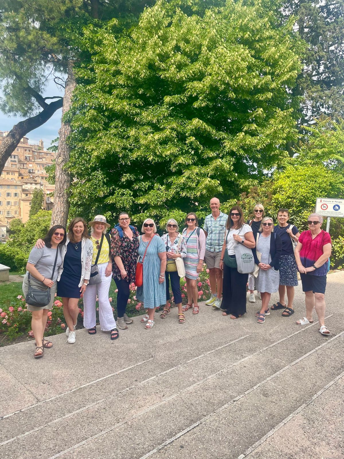 Group of people posing outdoors on stone steps beside a large green tree.