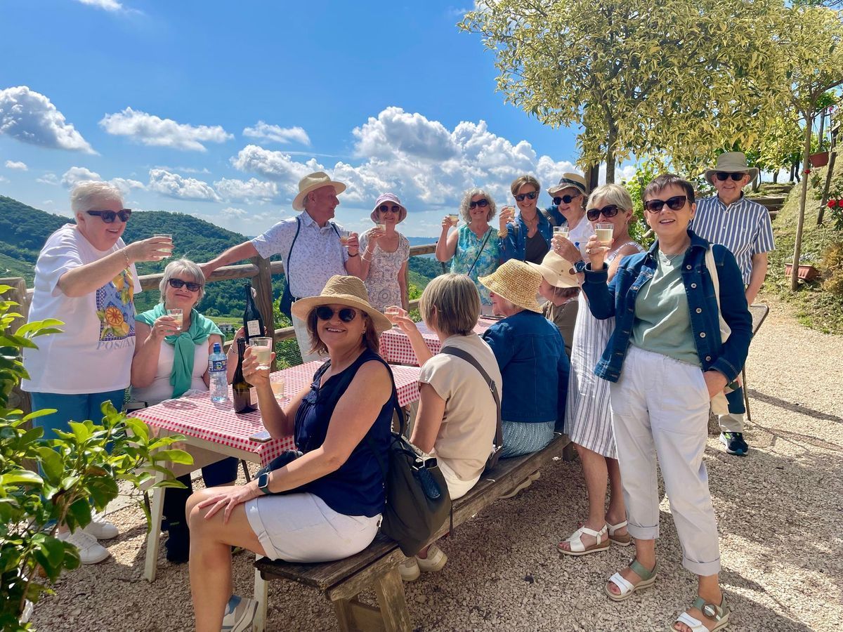 Group of people socializing outdoors at a scenic overlook, with trees, mountains, and blue sky behind them