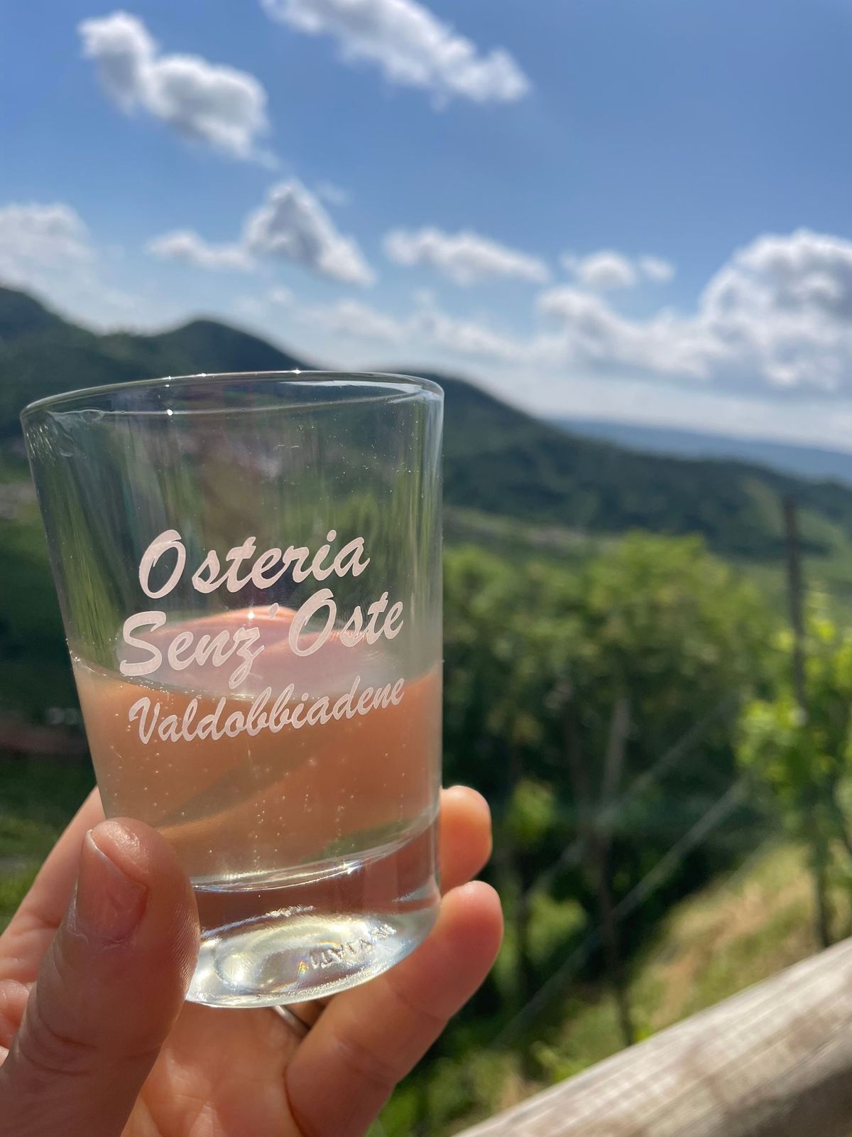 Hand holding a clear glass with white text, overlooking a sunny vineyard and mountains under a blue sky