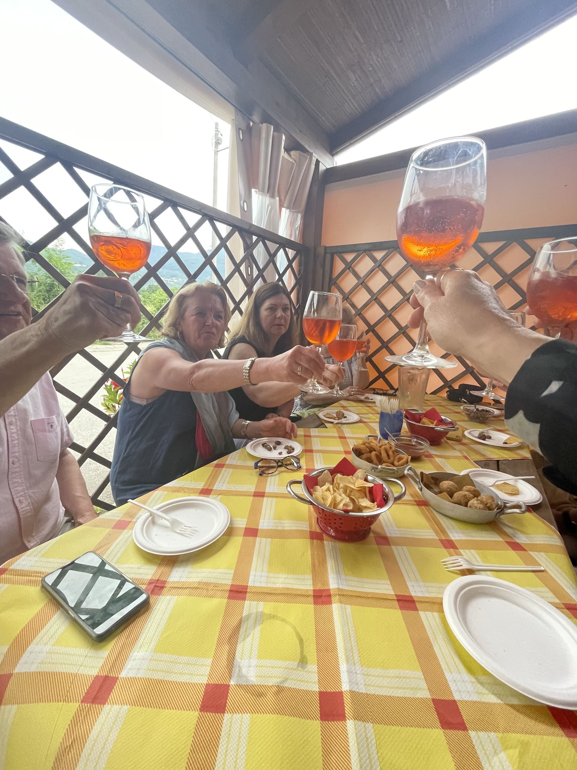 Friends toasting with orange drinks at a table on a covered patio with snacks and a checkered cloth