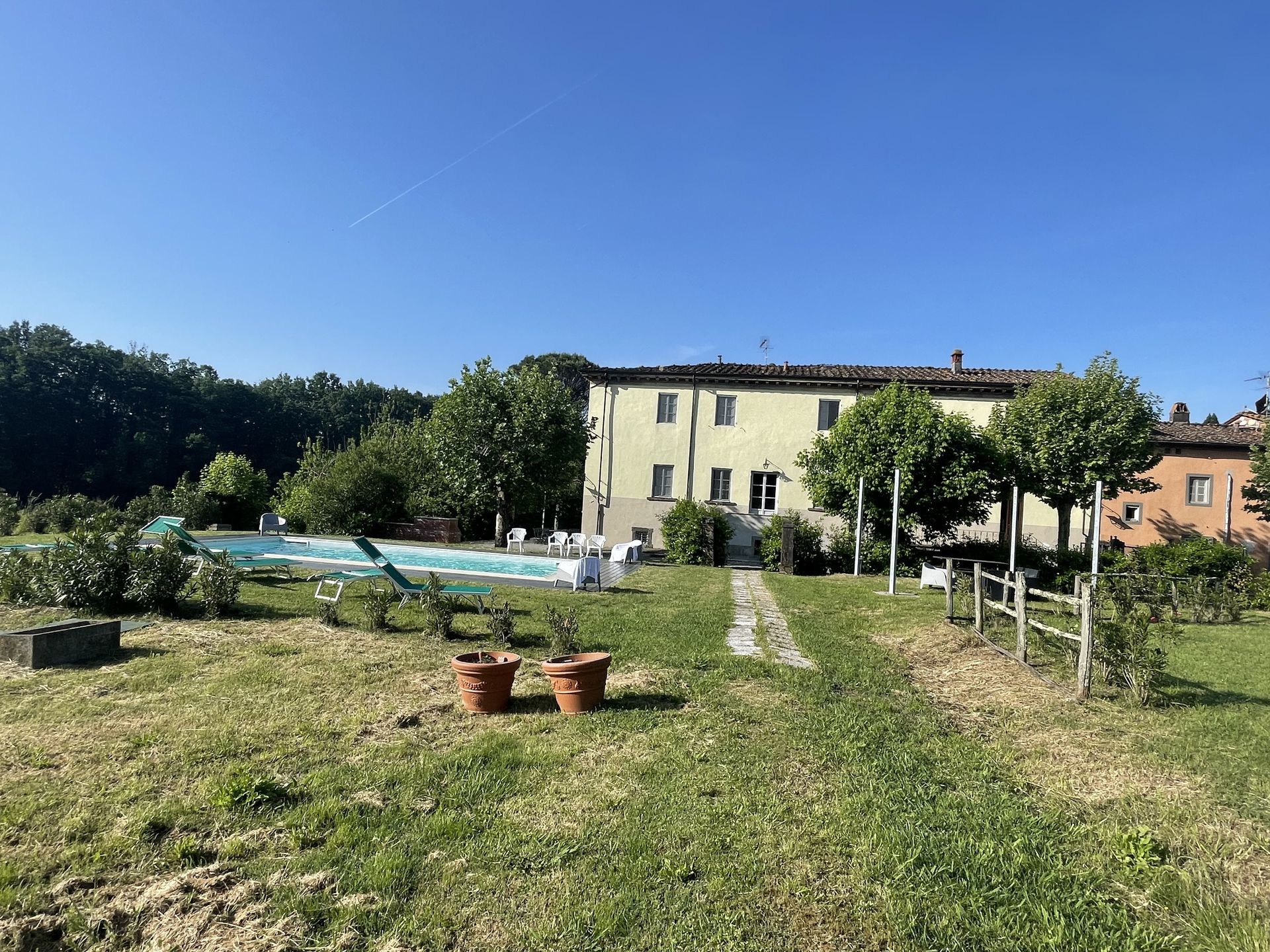 Grassy yard with potted plants, a blue pool, and a cream house under a clear blue sky